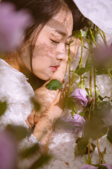 成全网
